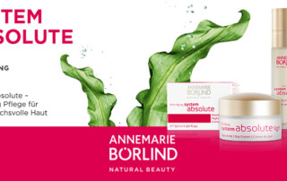 Annemarie Börlind: System Absolute